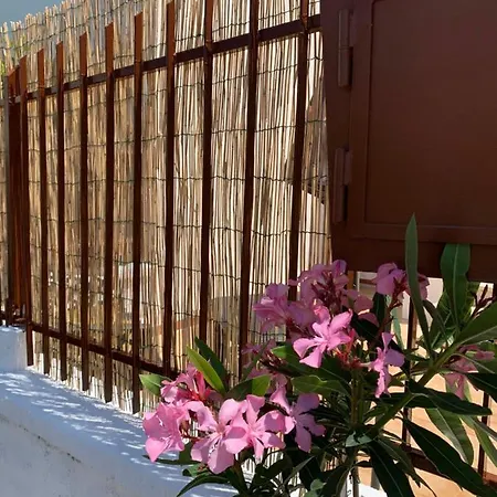 Hébergement de vacances Casa Oleandro
